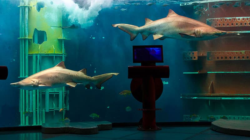 Grand Aquarium de SAint-Malo